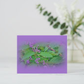 Amerikaanse Beautyberry (Callicarpa americana) Briefkaart (Staand voorkant)