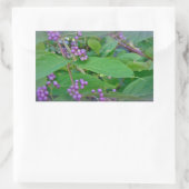 Amerikaanse Beautyberry (Callicarpa americana) Rechthoekige Sticker (Tas)