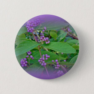 Amerikaanse Beautyberry (Callicarpa americana) Ronde Button 5,7 Cm