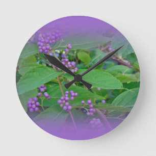 Amerikaanse Beautyberry (Callicarpa americana) Ronde Klok
