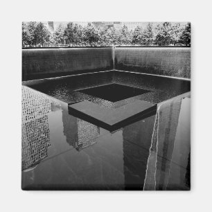 Amerikaanse beschouwingen magneet