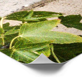 -Amerikaanse bestelwagen Poster (Hoek)