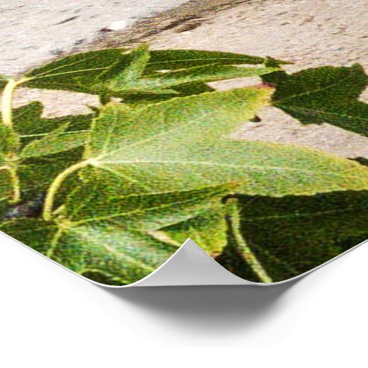 -Amerikaanse bestelwagen Poster (Hoek)