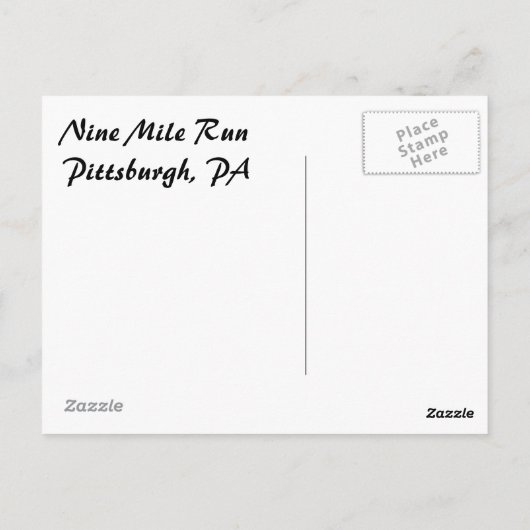 amerikaanse beuk briefkaart (Achterkant)