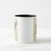 Amerikaanse bevolking 1860 mok (Midden)