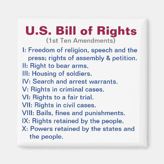 Amerikaanse Bill of Rights Magneet (Voorkant)