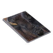 Amerikaanse Bison Bonded Pair Bull en Cow Notitieboek (Rechterzijde)