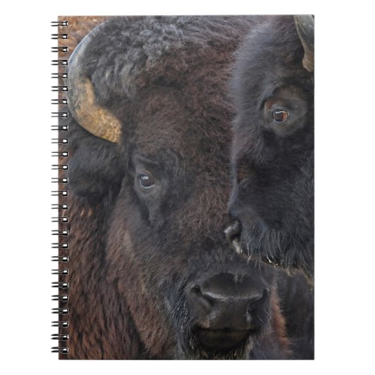 Amerikaanse Bison Bonded Pair Bull en Cow Notitieboek (Voorkant)