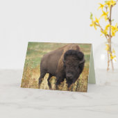Amerikaanse Bison/Buffalo Birthday Kaart (Gele Bloem)