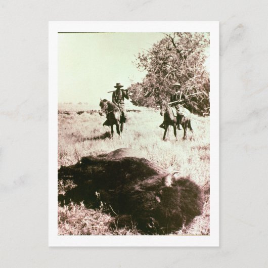 Amerikaanse Bison Hunters (foto) Briefkaart (Voorkant)