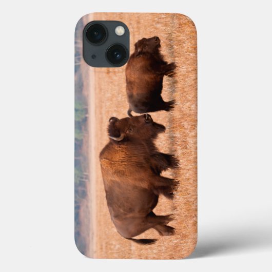 Amerikaanse Bizon (Bison Bison) Koe en Kalf Case-Mate iPhone Case (Achterkant)