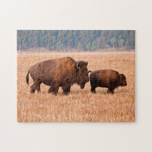 Amerikaanse Bizon (Bison bison) Koe en Kalf Legpuzzel (Horizontaal)