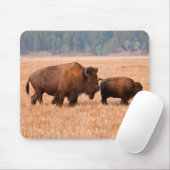 Amerikaanse Bizon (Bison Bison) Koe en Kalf Muismat (Met muis)