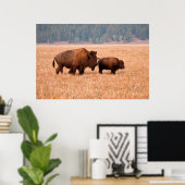 Amerikaanse Bizon (Bison Bison) Koe en Kalf Poster (Thuiskantoor)