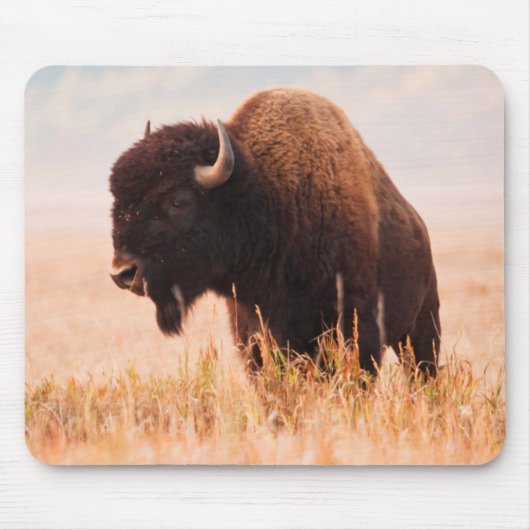 Amerikaanse Bizon (Bison Bison) Kudde In Teton 2 Muismat (Voorkant)