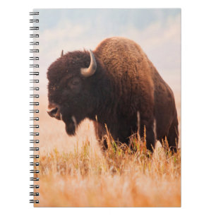 Amerikaanse Bizon (Bison Bison) Kudde In Teton 2 Notitieboek