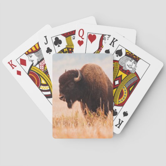 Amerikaanse Bizon (Bison Bison) Kudde In Teton 2 Pokerkaarten (Achterkant)