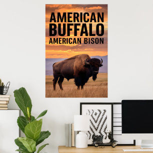 Amerikaanse bizon Buffalo Poster