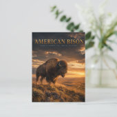 Amerikaanse Bizon Great Plains DIEREN Briefkaart (Staand voorkant)