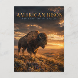 Amerikaanse Bizon Great Plains DIEREN Briefkaart