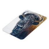 Amerikaanse bizon in de sneeuw bij Yellowstone NP Magneet (Linkerzijde)