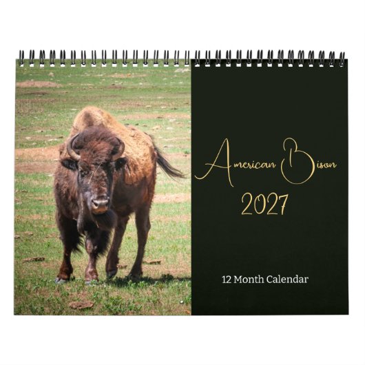 Amerikaanse Bizon Kalender 2027 (Hoes)