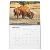 Amerikaanse Bizon Kalender 2027 (Jan 2027)