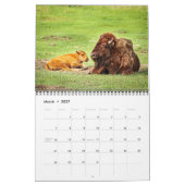 Amerikaanse Bizon Kalender 2027 (Mar 2027)