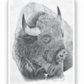 Amerikaanse bizon sticker (Voorkant)