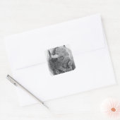 Amerikaanse bizon vierkante sticker (Envelop)