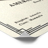 Amerikaanse Bizon Zoölogie Serie Poster (Hoek)