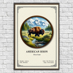Amerikaanse Bizon Zoölogie Serie Poster