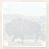 Amerikaanse bizon zwerven in grasland setting glazen onderzetter (Achterkant)