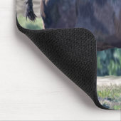 Amerikaanse bizon zwerven in grasland setting muismat (Hoek)