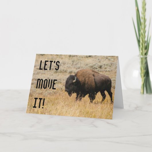 Amerikaanse bizons grazen op foto van beemdgras kaart (Voorkant)