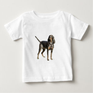 Amerikaanse Black and Tan Coon Hound