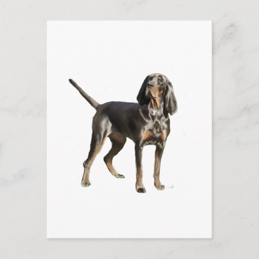 Amerikaanse Black and Tan Coon Hound Briefkaart (Voorkant)