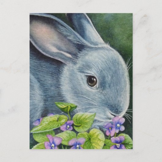 Amerikaanse blauwe konijn in Violets Waterverf Art Briefkaart (Voorkant)