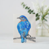 Amerikaanse Blauwe Vogel Feestdagenkaart (Staand voorkant)
