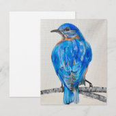 Amerikaanse Blauwe Vogel Feestdagenkaart (Voorkant / Achterkant)