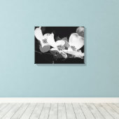 Amerikaanse Bloeiende Cornus Bloesems Zwart & Wit Canvas Afdruk (Insitu (Houten vloer))