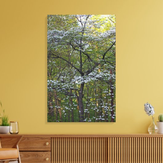 Amerikaanse bloeiende hondenboom - Cornus florida Canvas Afdruk (Insitu (Woonkamer))