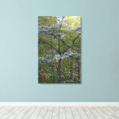 Amerikaanse bloeiende hondenboom - Cornus florida Canvas Afdruk (Insitu (Houten vloer))