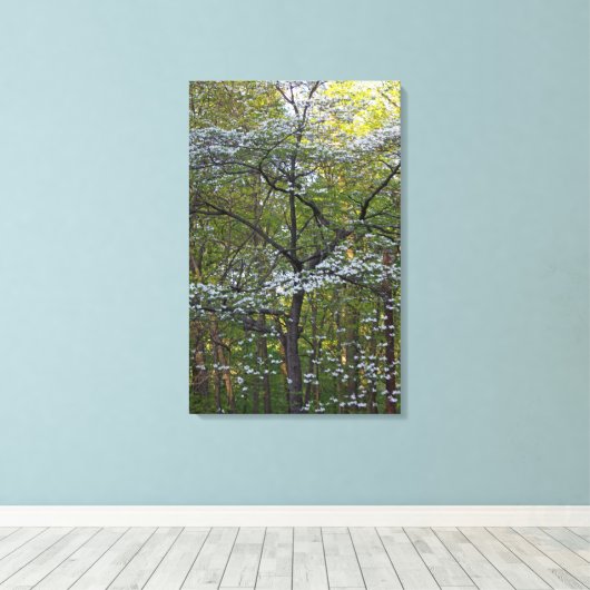 Amerikaanse bloeiende hondenboom - Cornus florida Canvas Afdruk (Insitu (Houten vloer))