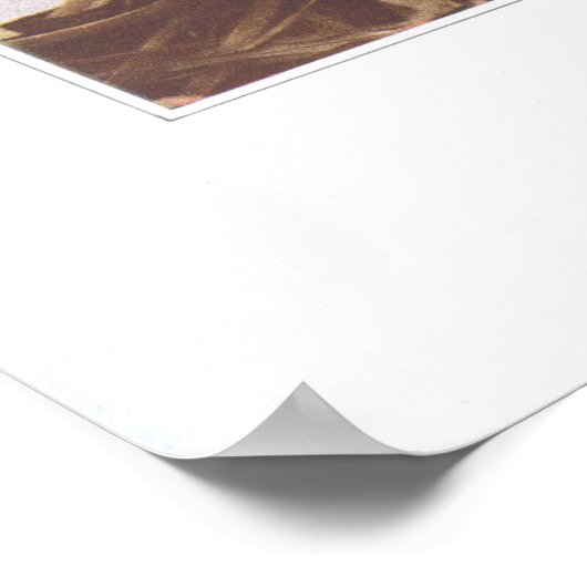 Amerikaanse bloem - Trollius laxus Poster (Hoek)