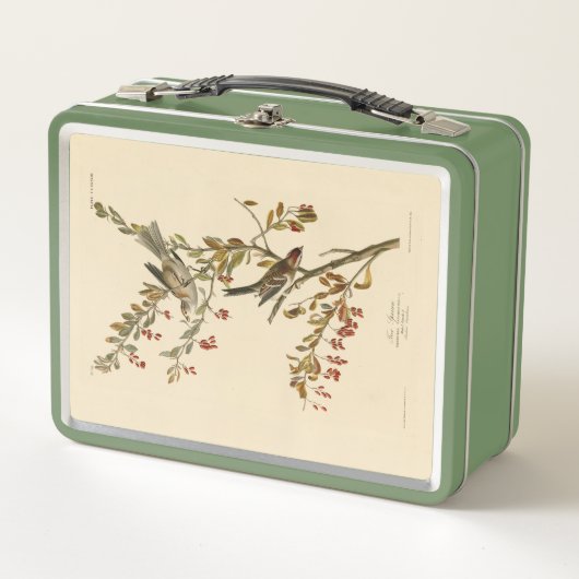 Amerikaanse Boom Sparrow, Amerikaanse vogelvogels (Voorkant)