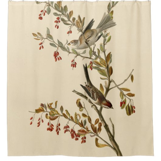 Amerikaanse Boom Sparrow, Amerikaanse vogelvogels Douchegordijn (Voorkant)