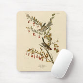 Amerikaanse Boom Sparrow, Amerikaanse vogelvogels Muismat (Met muis)