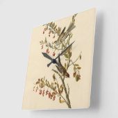 Amerikaanse Boom Sparrow, Amerikaanse vogelvogels Vierkante Klok (Hoek)