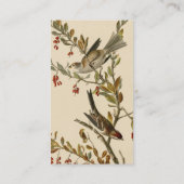 Amerikaanse Boom Sparrow, Amerikaanse vogelvogels Visitekaartje (Achterkant)